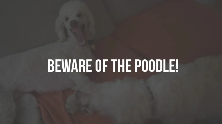 Specify Alternate Text